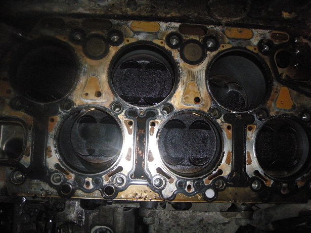 PB071708.jpg