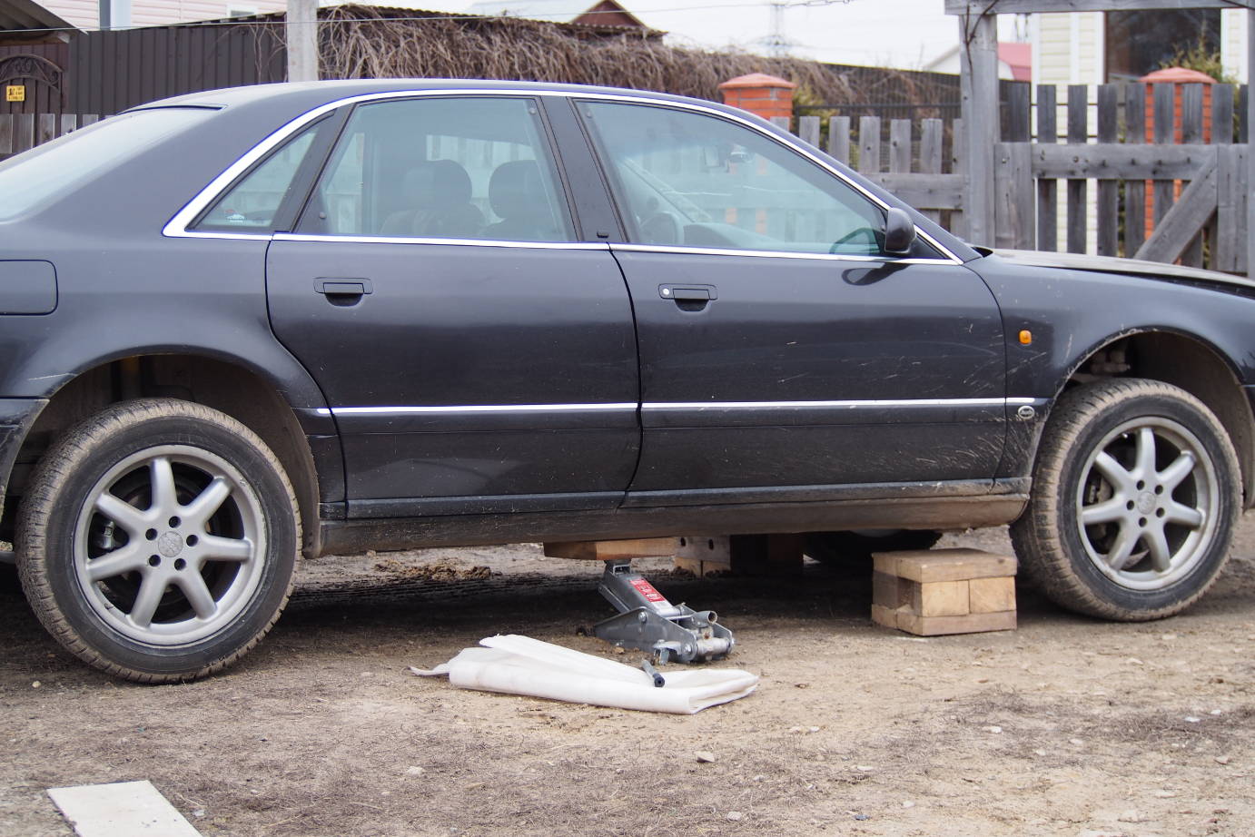 P3150024__.JPG