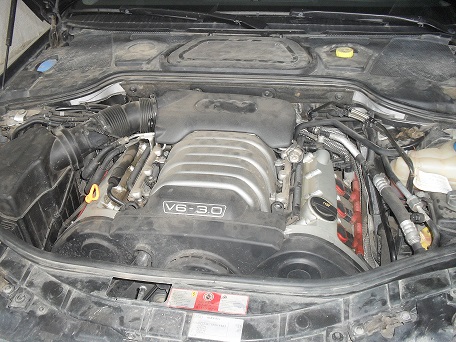SDC12408.JPG