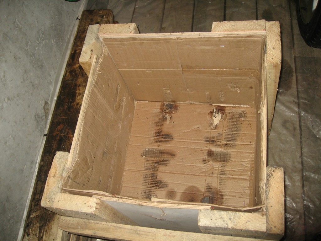 IMG_5984.jpg