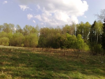 10052009139.jpg