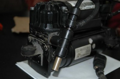 DSC_3204 .JPG