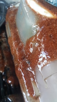 2014-09-15 16.51.09 (360x640).jpg