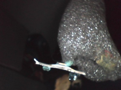 Snapshot_20141118.jpg