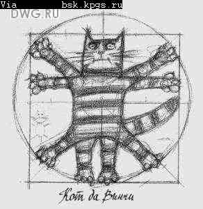 dwg-347.jpg