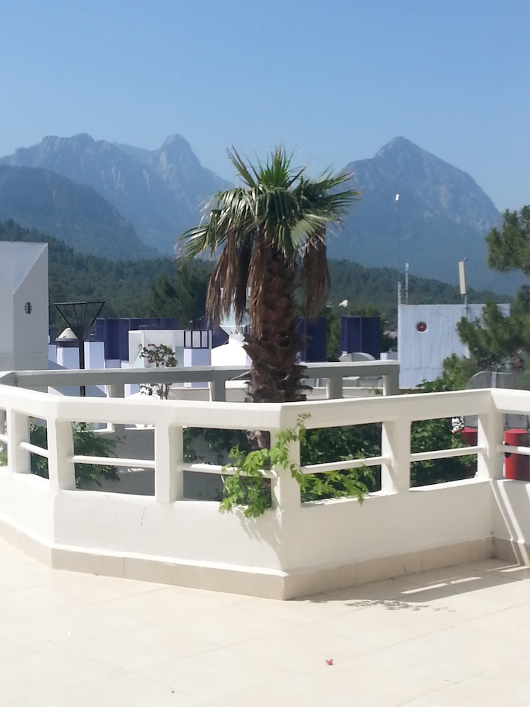 20150519_152045.jpg