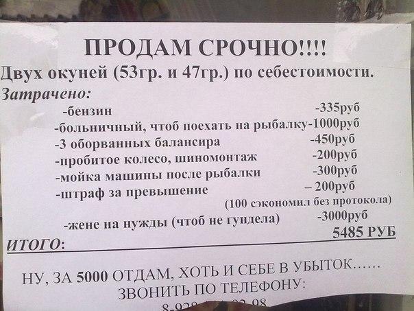 Комерсы от бога