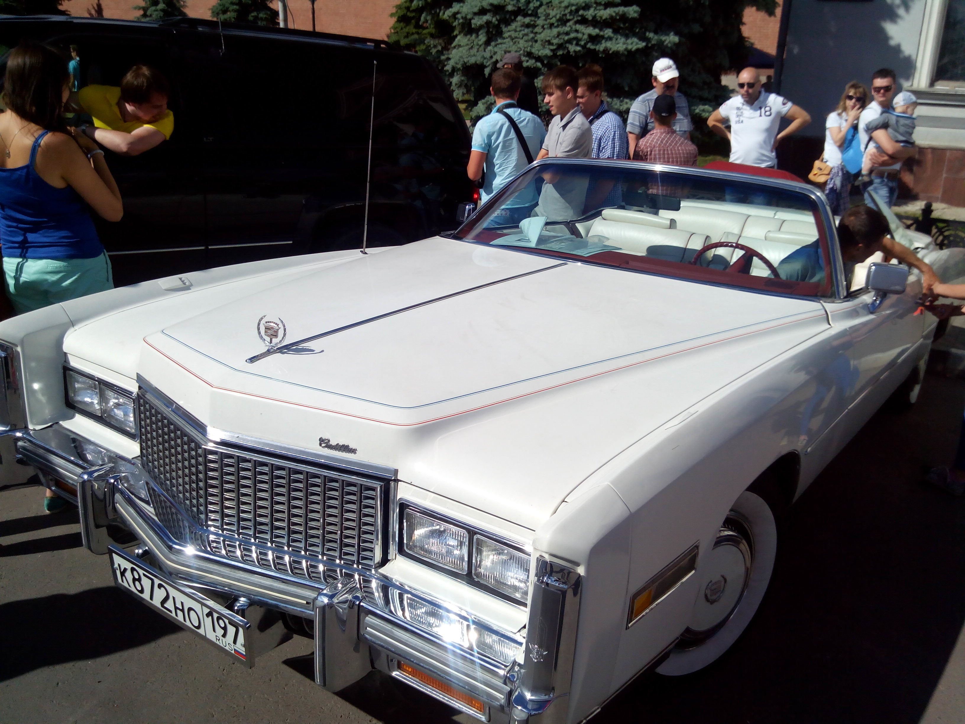 IMG-1434113334542-V.jpg