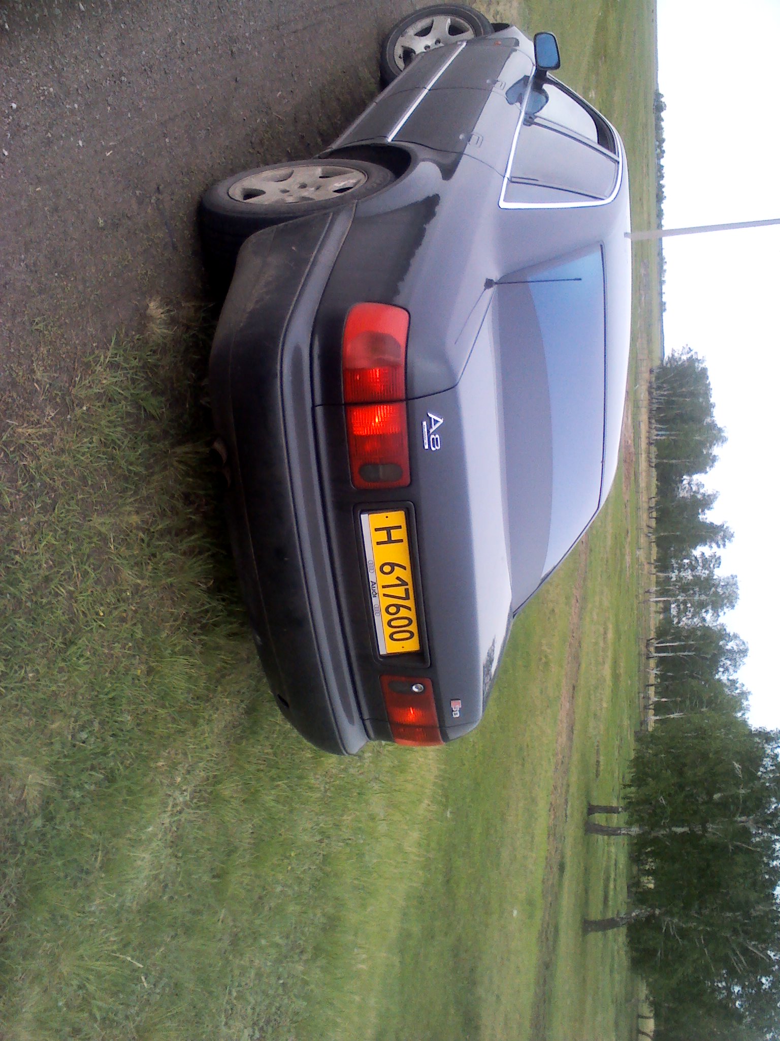 YP20140518190740.jpeg