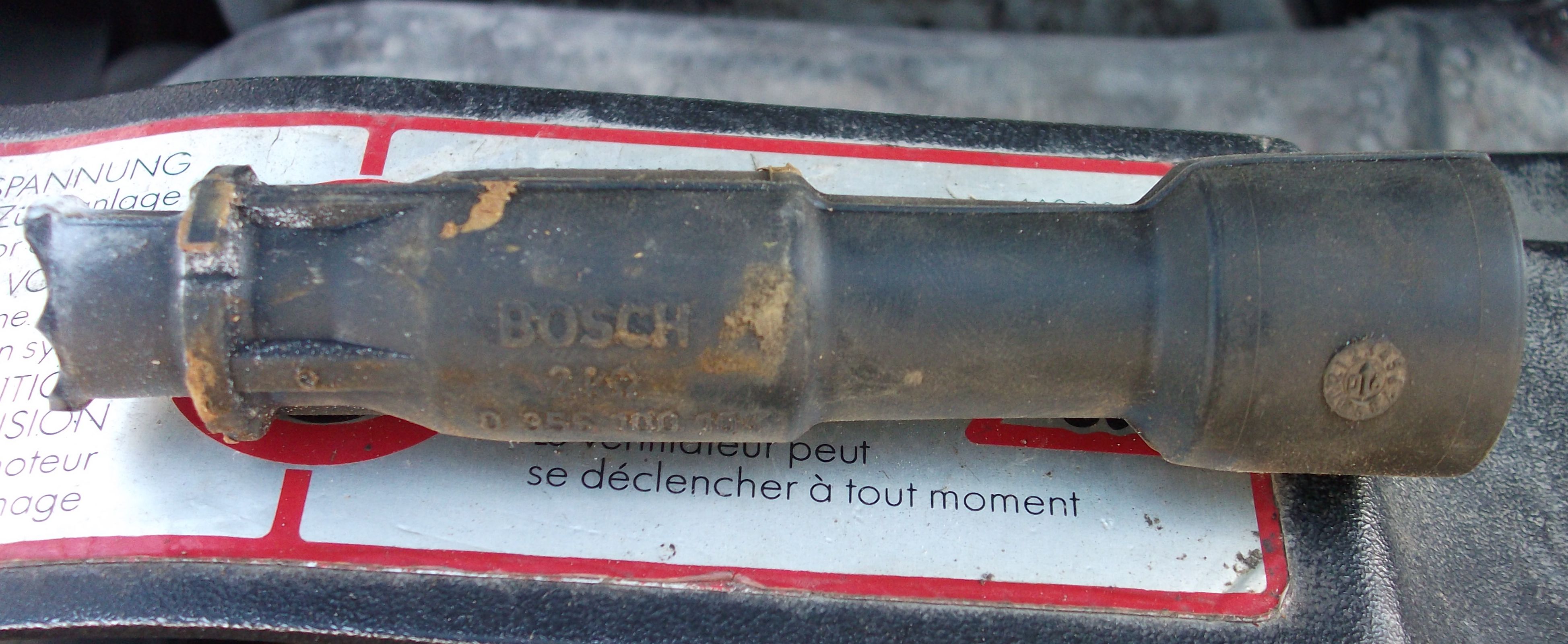 DSCF8377.jpg