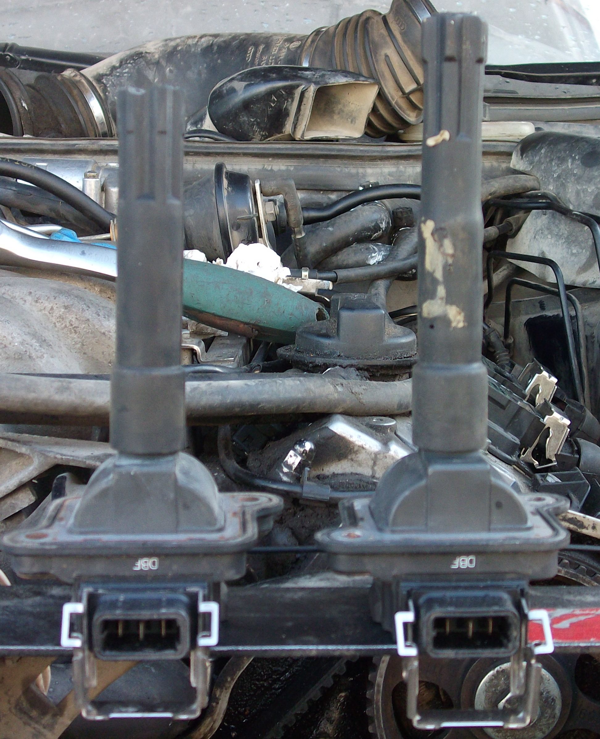 DSCF8385.jpg