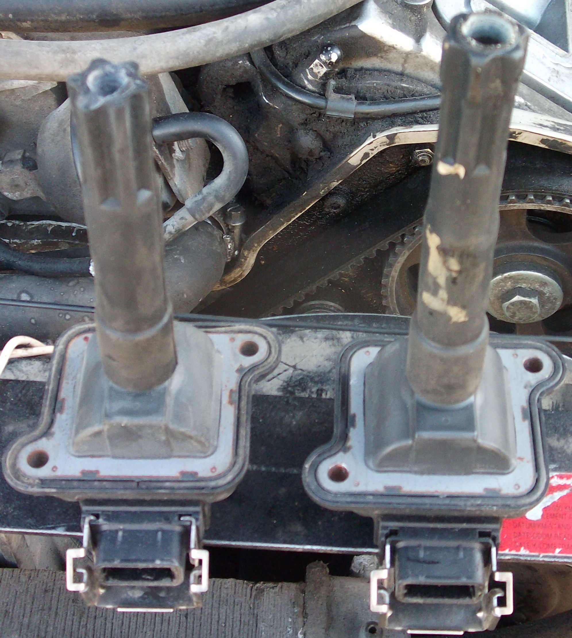 DSCF8386.jpg