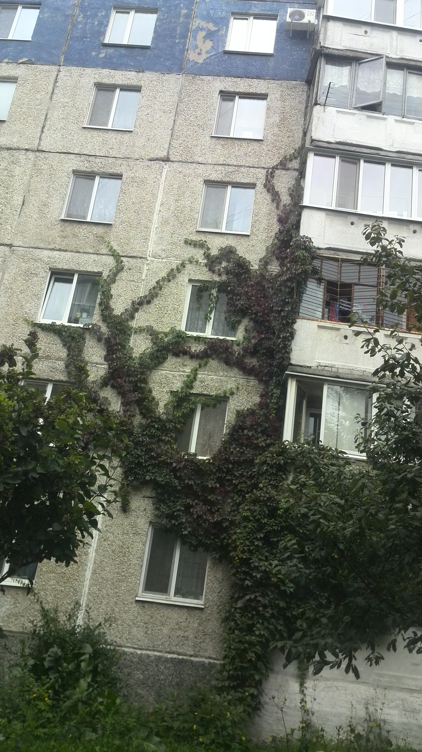 IMG_20150828_122021.jpg
