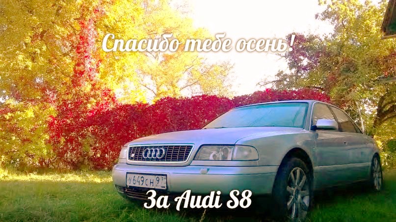 VK_Saved_Photo_ 635783386380355669.jpg