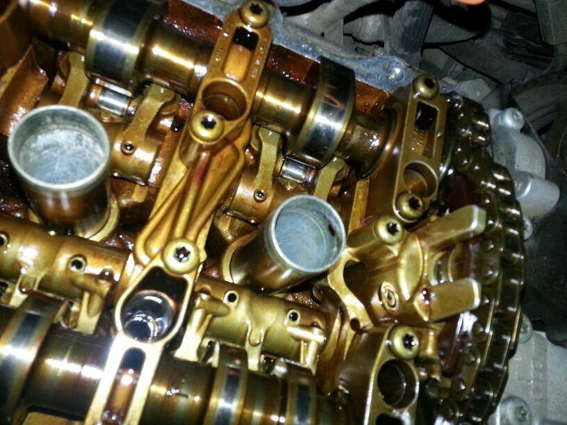 левая голова не видно нозубов там тож нет