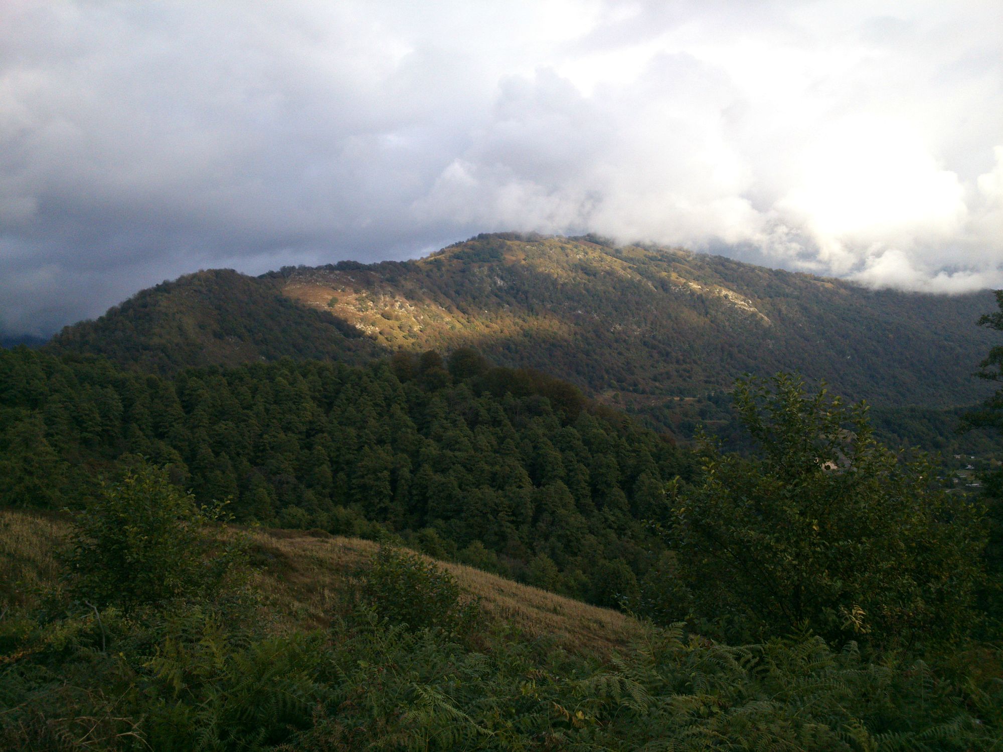 DSC_0148.jpg