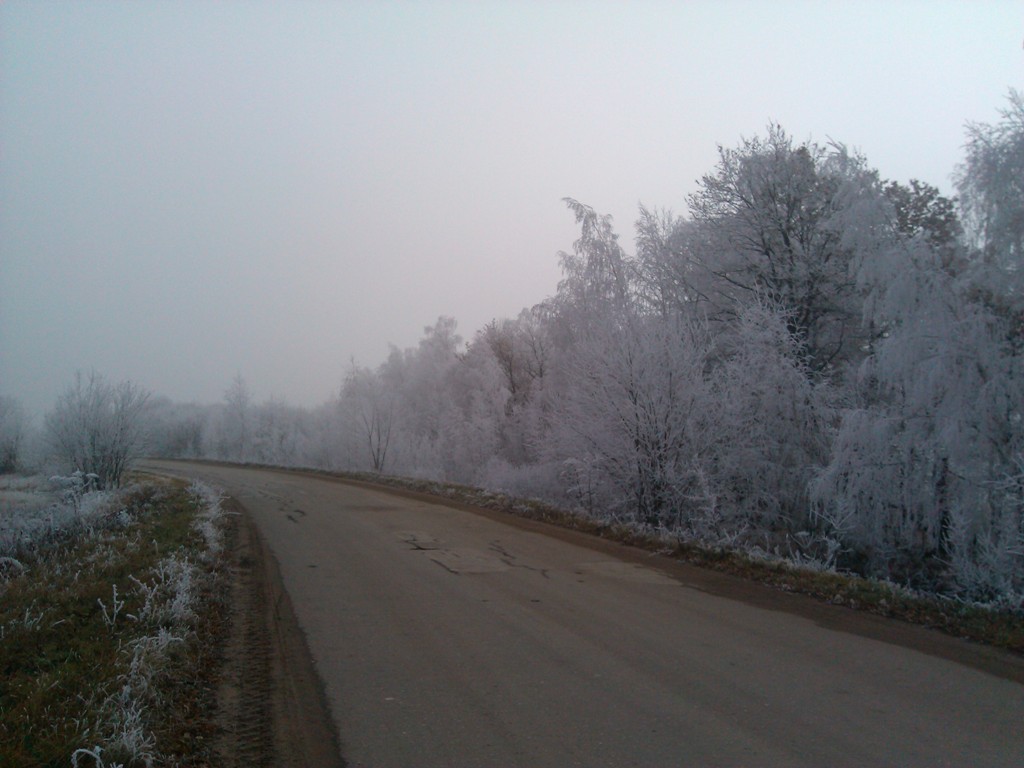 IMG_20151108_113212.jpg
