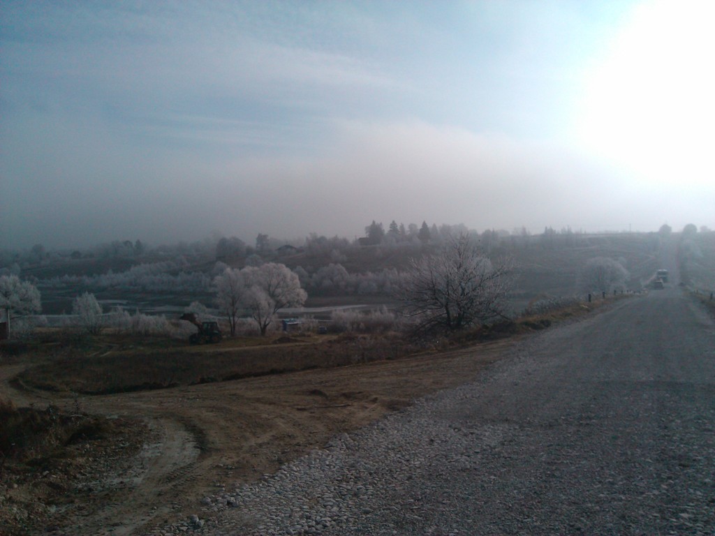 IMG_20151108_114334.jpg