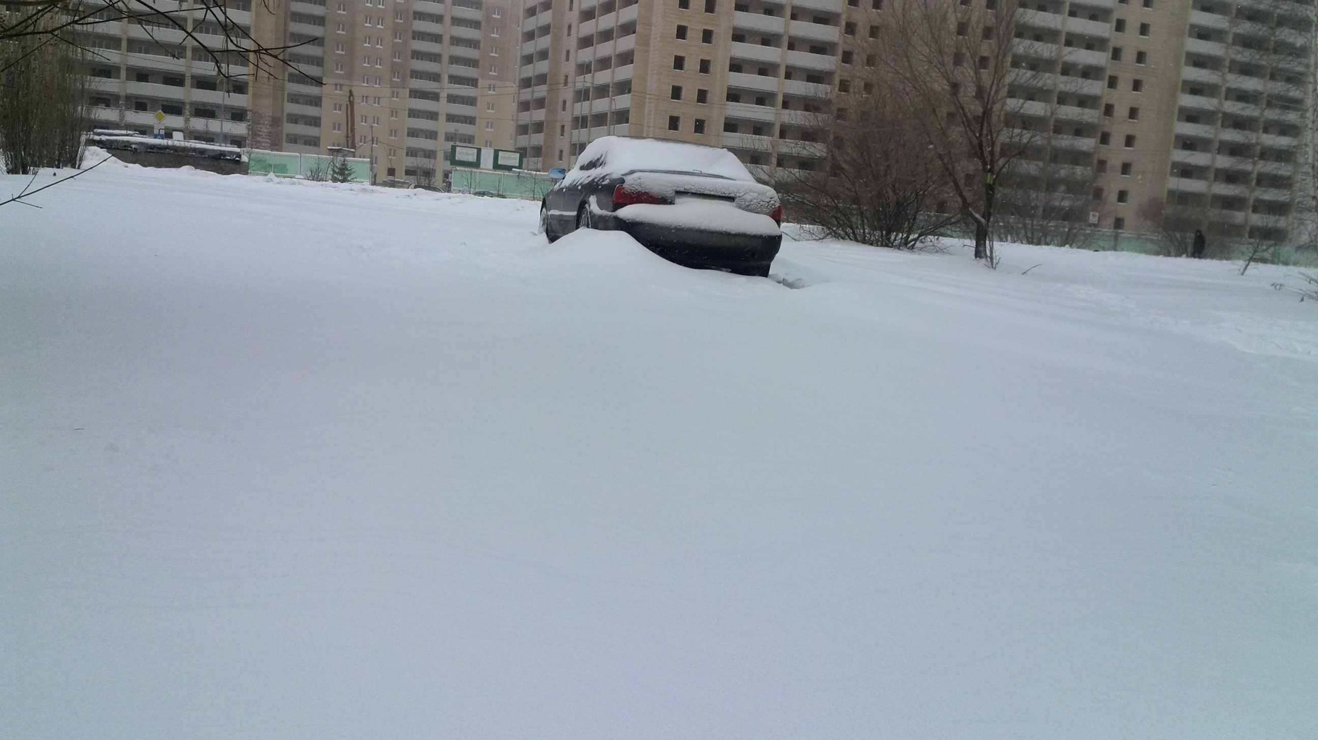 IMG_20151226_112331.jpg