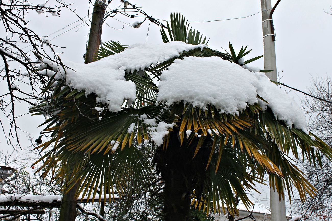 IMG_9562.JPG
