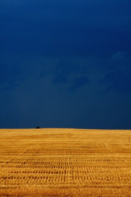 IMG_3726о.jpg