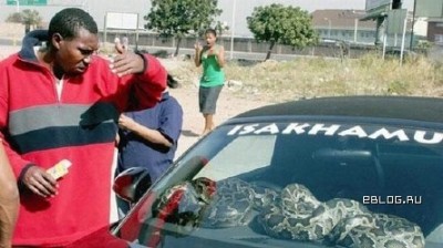 эксклюзивное противоугонное средство:))