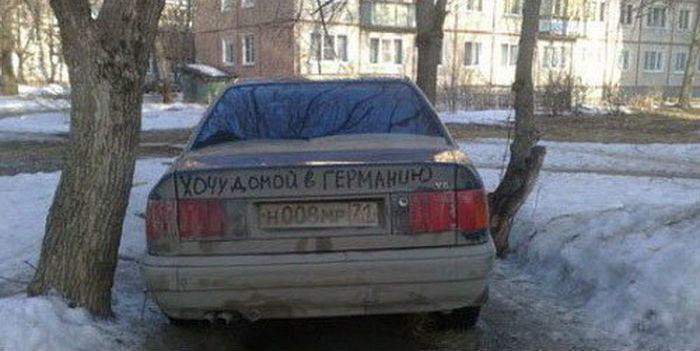 wysiwyg_8.jpg