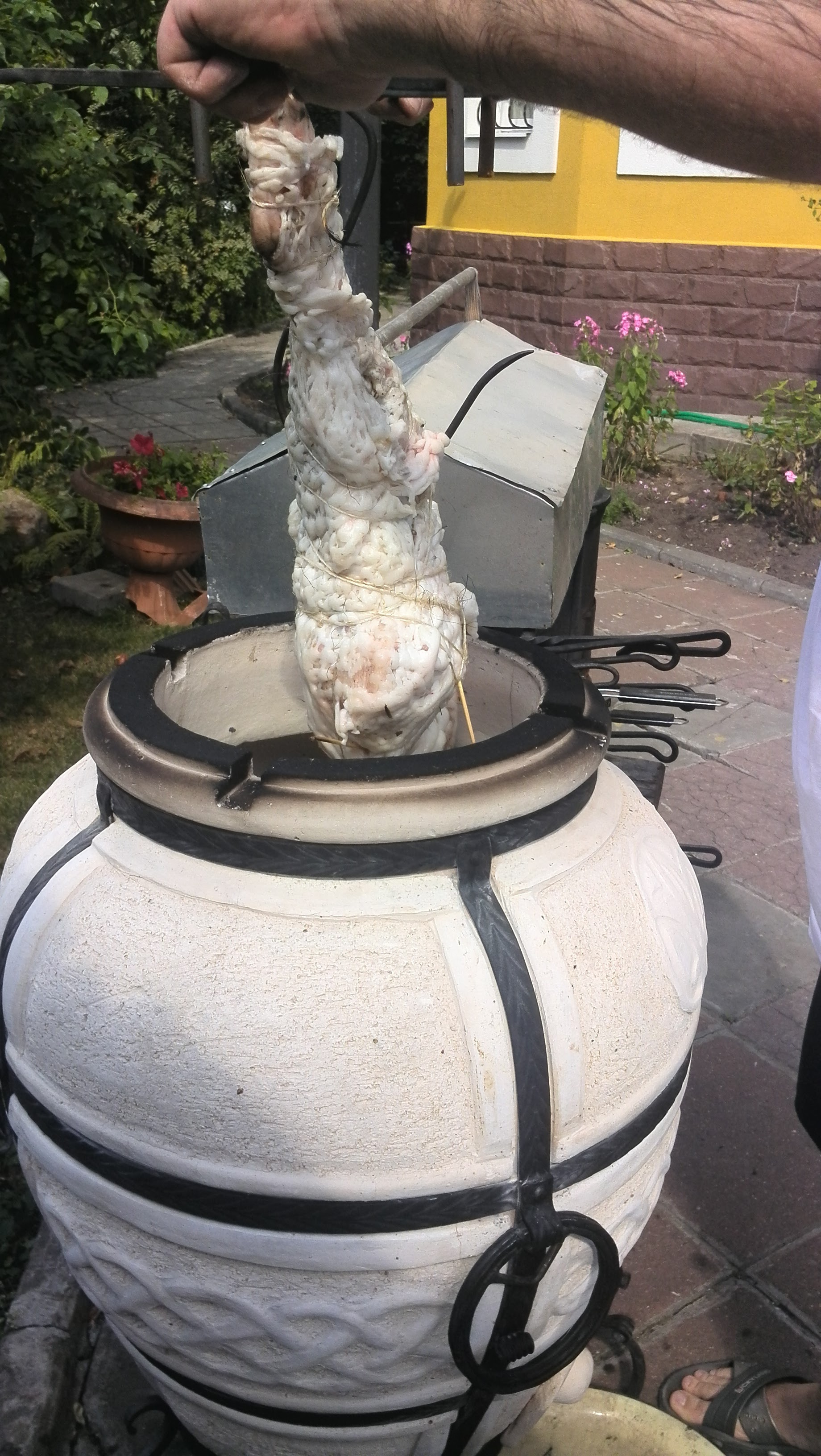 IMG_20150823_131730.jpg