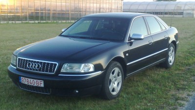 03072009117.jpg