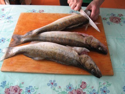 судаки.JPG