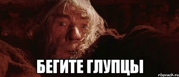 8lrKTkvQzv4.jpg