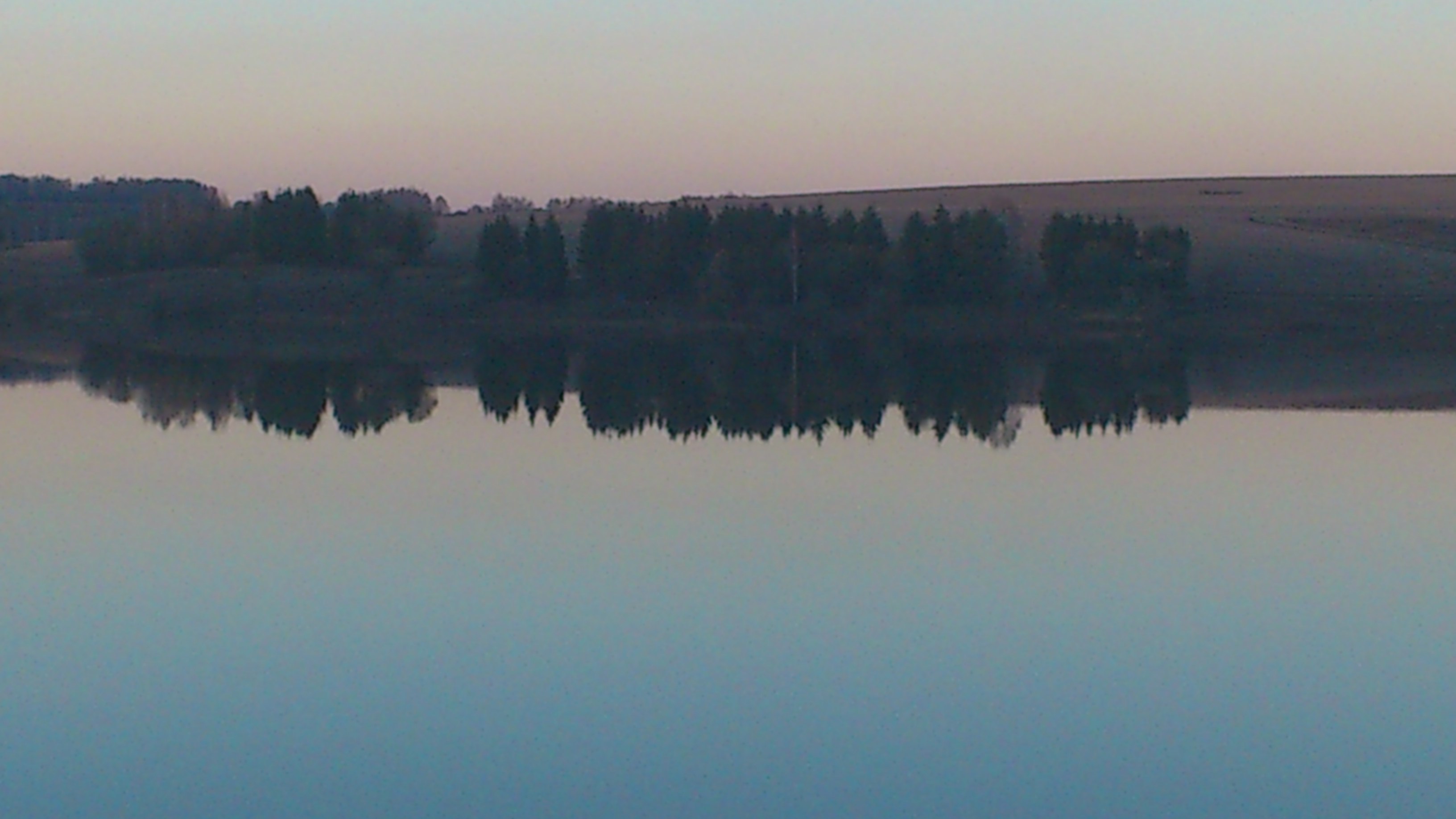 DSC_5375.JPG