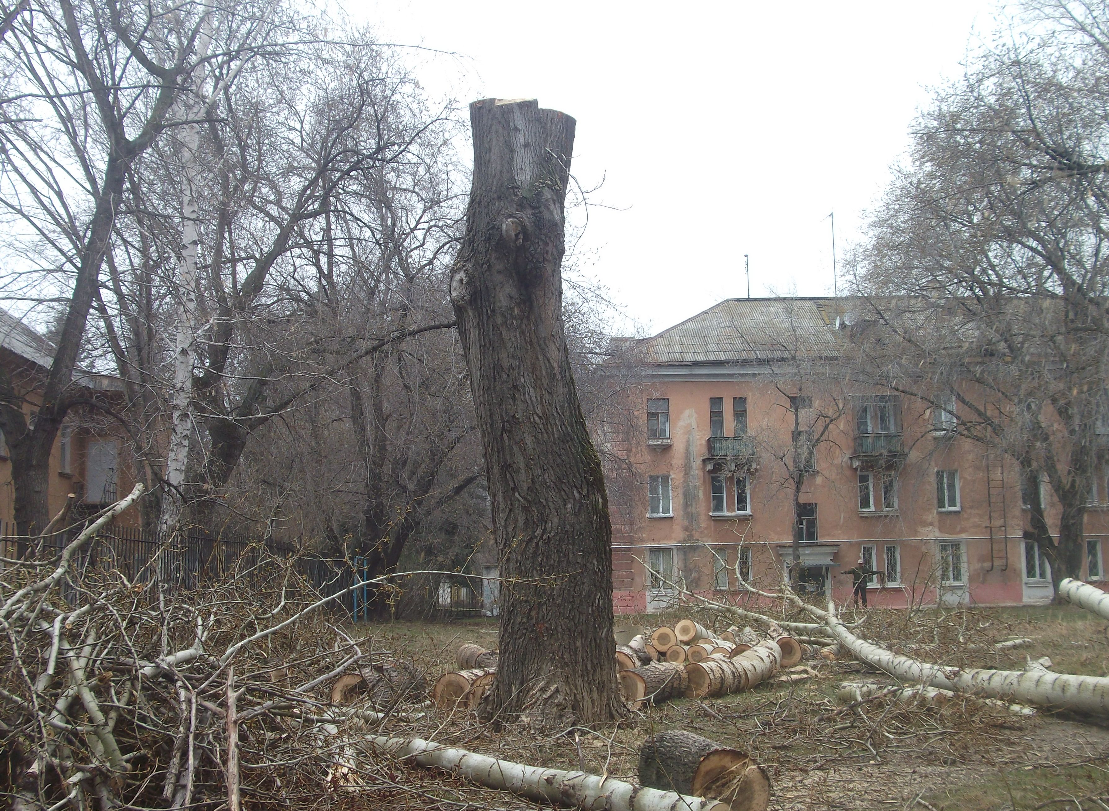DSCF04069999.jpg
