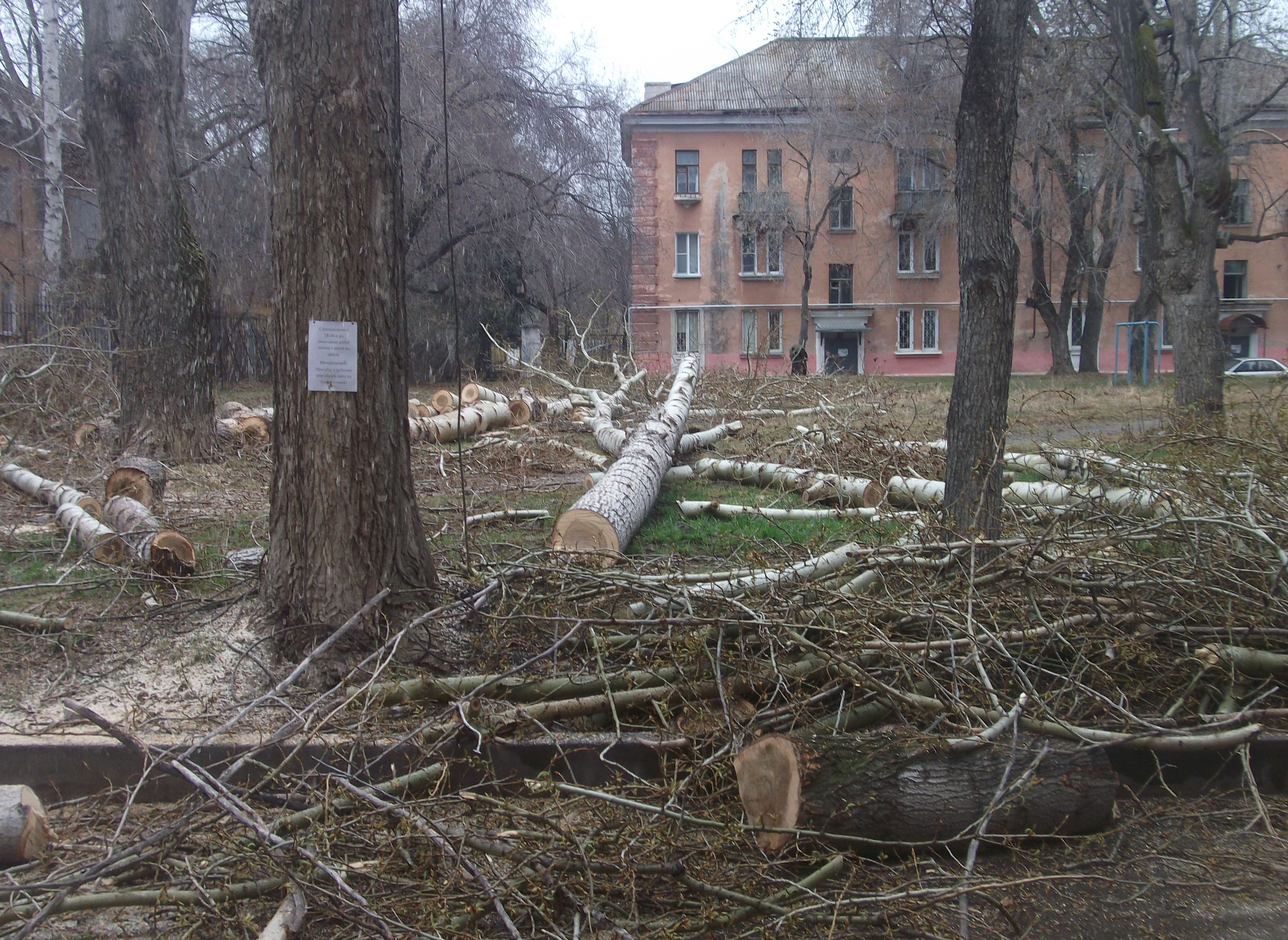 DSCF040188888.jpg