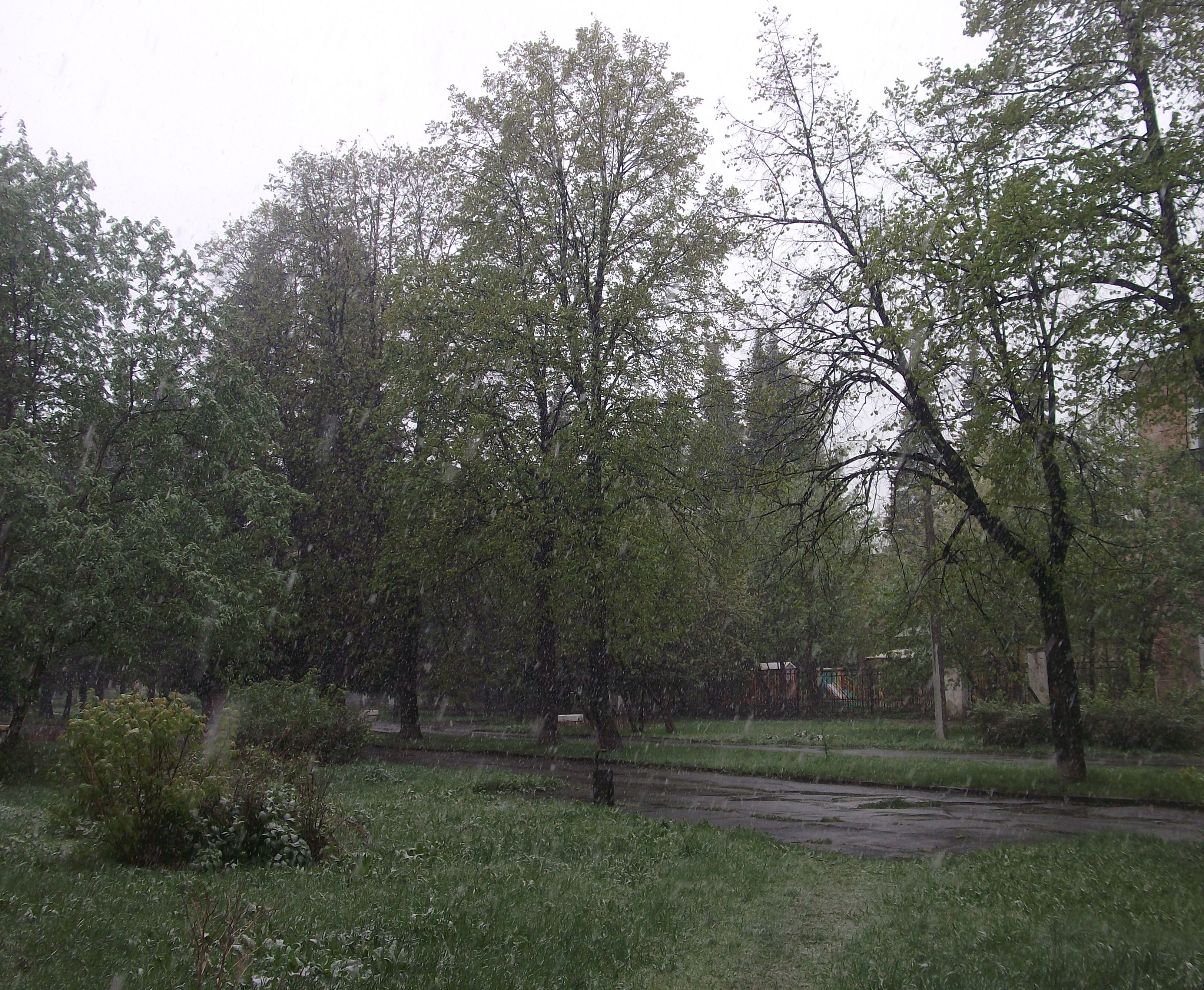 DSCF097099999999999.jpg