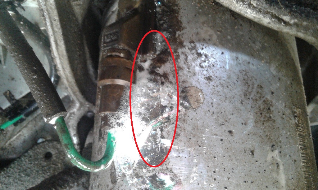 20160514_131125.jpg