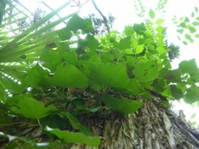 DSCN3215.JPG