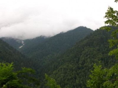 DSCN3432.JPG