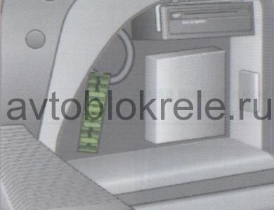 image.jpeg