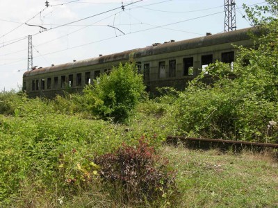 DSCN3591.JPG