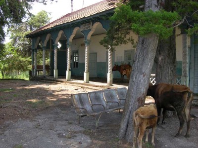 DSCN3606.JPG