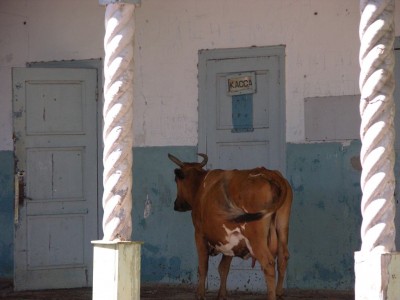 DSCN3608.JPG