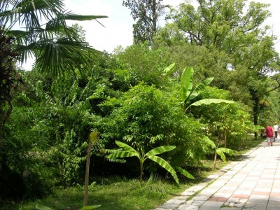 DSCN3179.JPG