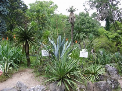 DSCN3180.JPG