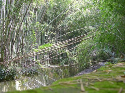 DSCN3197.JPG