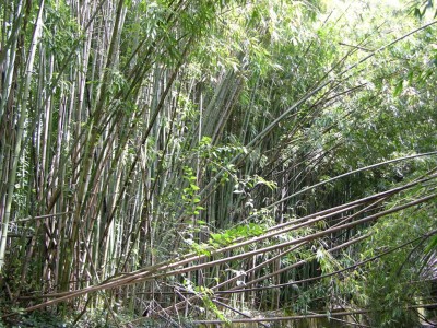 DSCN3198.JPG