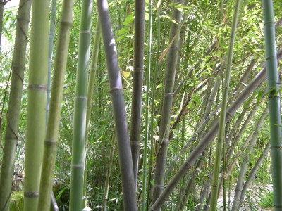 DSCN3199.JPG