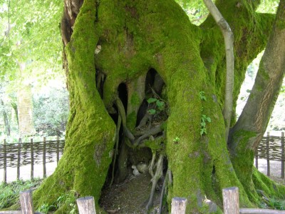 DSCN3201.JPG