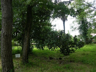 DSCN3204.JPG