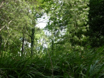 DSCN3208.JPG